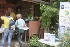 DSC06056